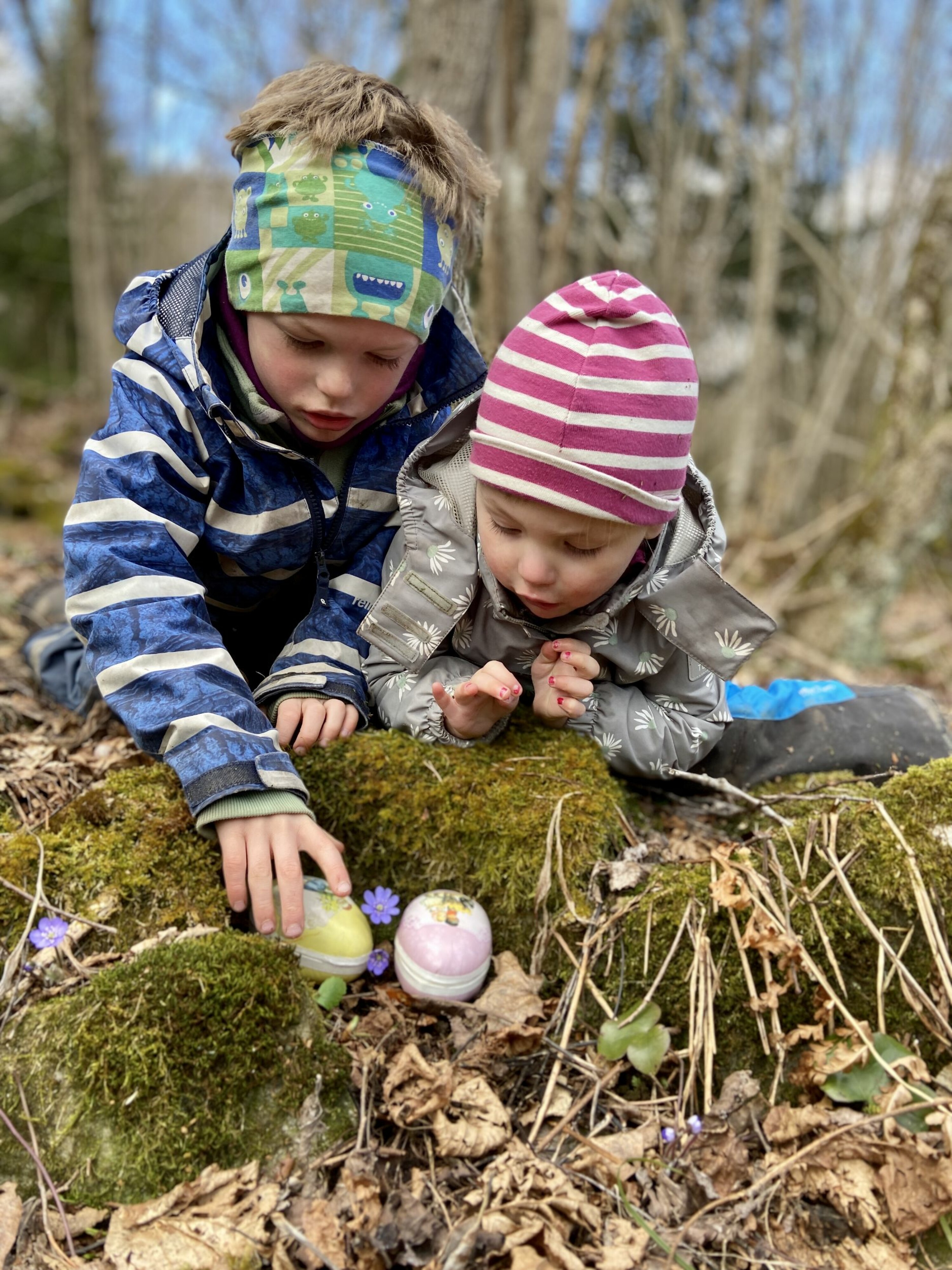 To barn plukker opp påskeegg bak en stein.